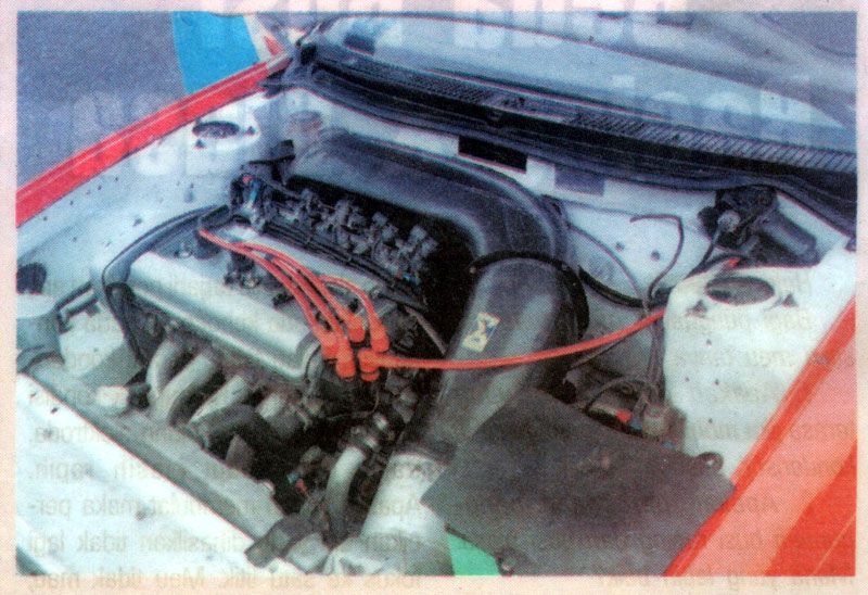 73c-corolla